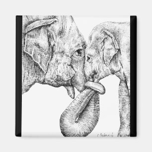 Íman Elefante