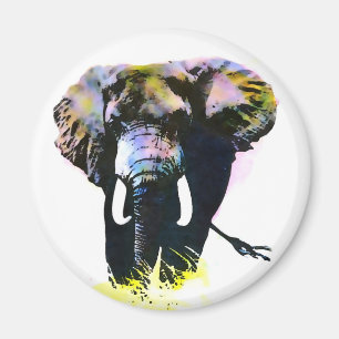 Íman Elefante