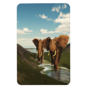 Íman Elefante