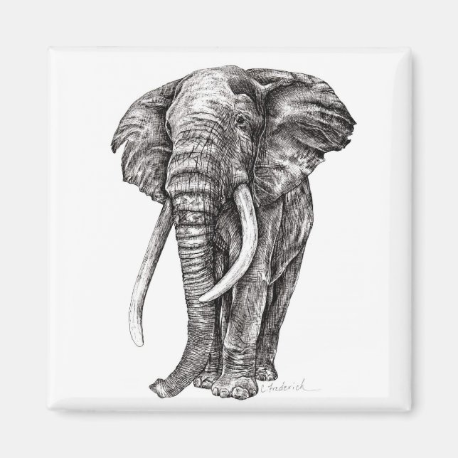 Íman Elefante (Frente)