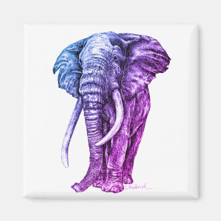 Íman Elefante