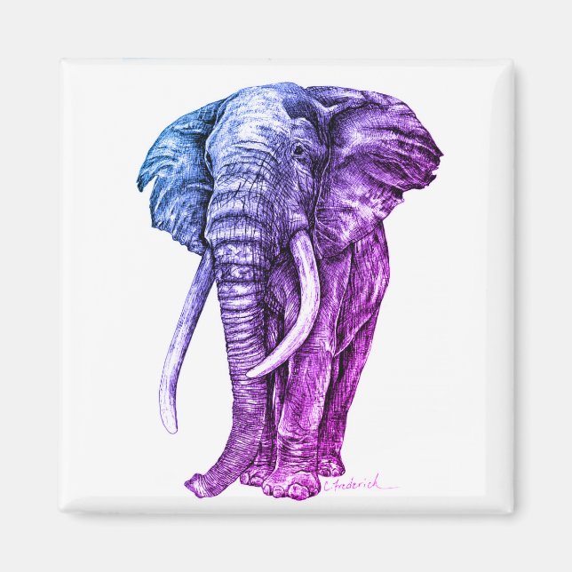 Íman Elefante (Frente)