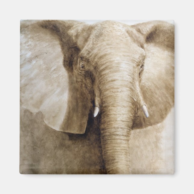 Íman Elefante 2004 (Frente)