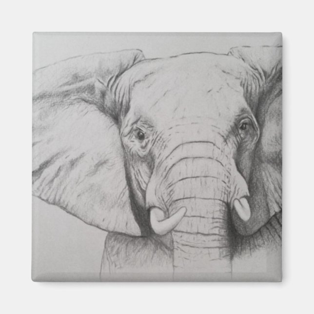 Íman Elefante 2011 (Frente)