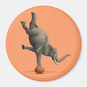 Íman Elefante Artístico