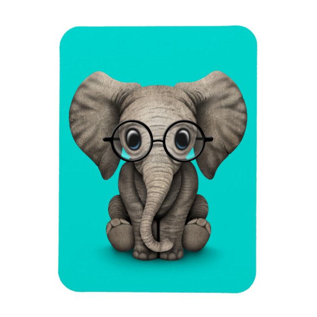 Íman Elefante-bebê bonito com óculos de leitura azul (Vertical)