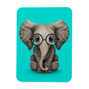 Íman Elefante bonito do bebê com os vidros de leitura
