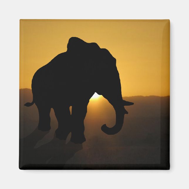 Íman Elefante Bull (Frente)