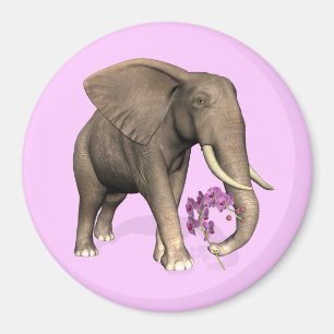 Íman Elefante Com Orquídea Rosa