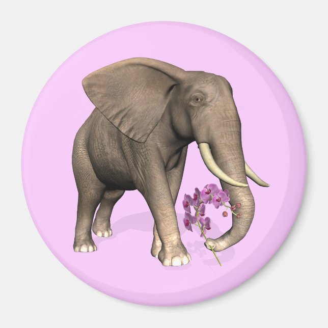 Íman Elefante Com Orquídea Rosa (Frente)