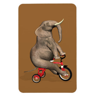 Íman Elefante Cujo Ciclo Ande É Um Triciclo