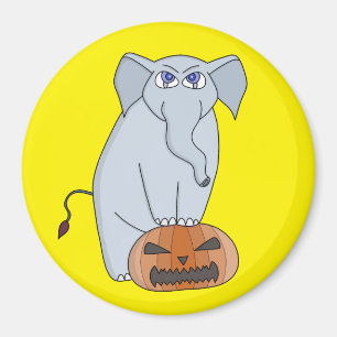 Íman Elefante de abóbora