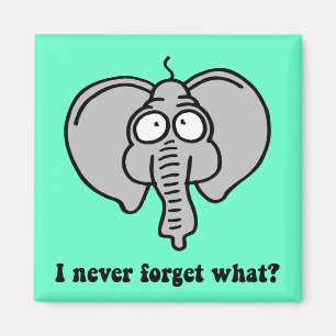 Íman Elefante engraçado