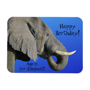 Íman Elefante Feliz Aniversário Engraçado Idade Irr E
