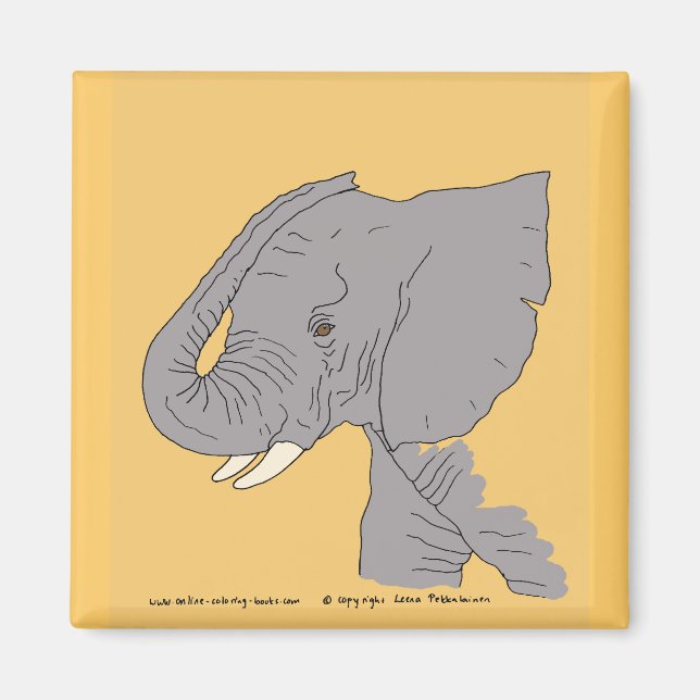 Íman Elefante Jovem (Frente)
