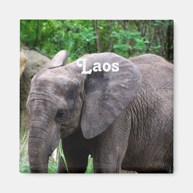 Íman Elefante Laos (Frente)