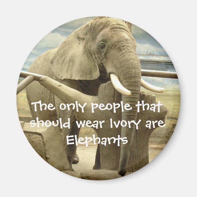 Íman Elefante Love (Frente)