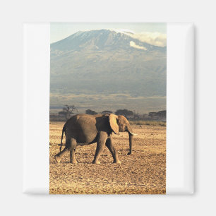 Íman Elefante na frente de Kilimanjaro