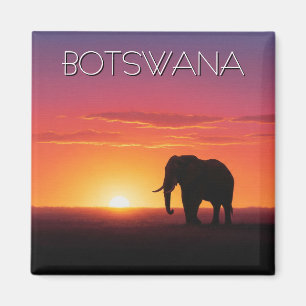 Íman Elefante na viagem do pôr do sol em Botswana