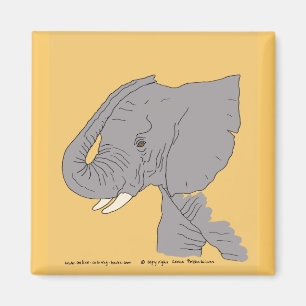 Íman Elefante novo