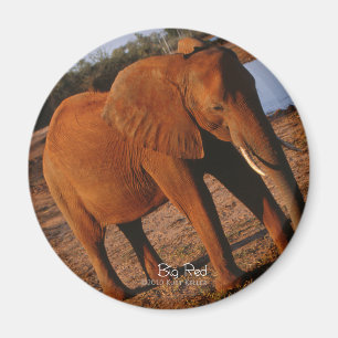 Íman Elefante vermelho grande