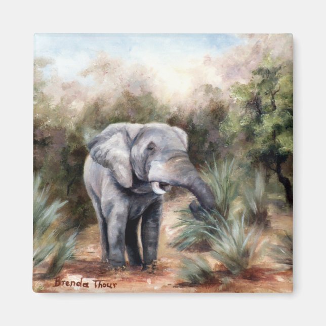 Íman Elefante Vindo Através Do Magnet (Frente)