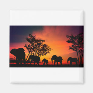 Íman Elefantes Africanos nas Planícies de Serengeti