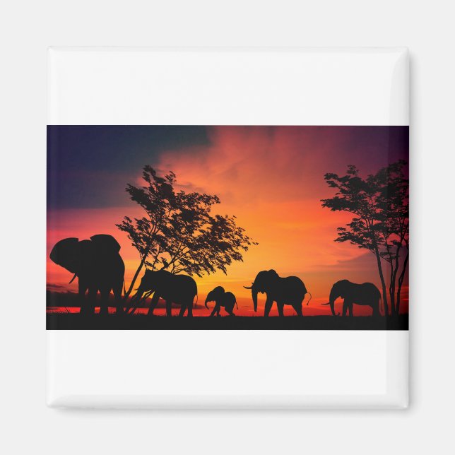 Íman Elefantes Africanos nas Planícies de Serengeti (Frente)