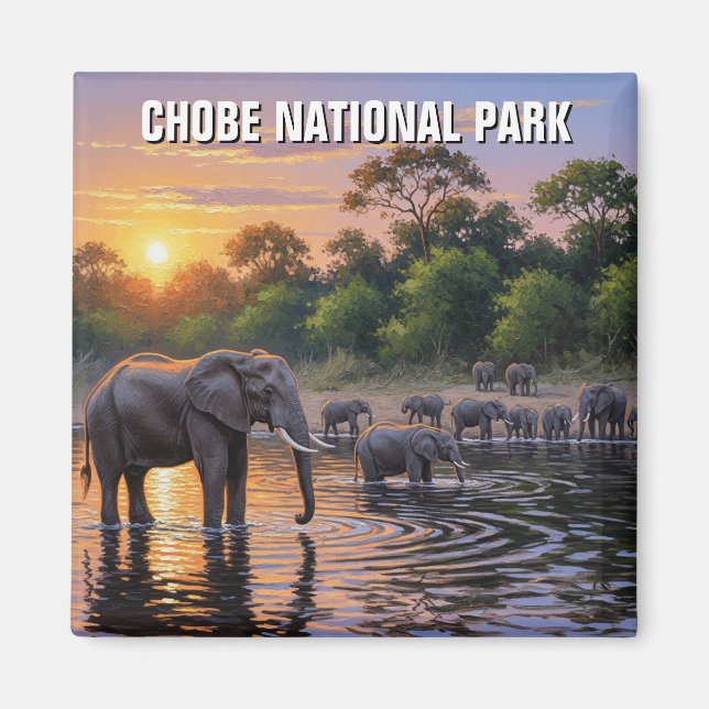 Íman Elefantes no Parque Nacional de Chobe, Botsuana (Frente)