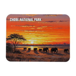 Íman Elefantes no Parque Nacional de Chobe, Botsuana