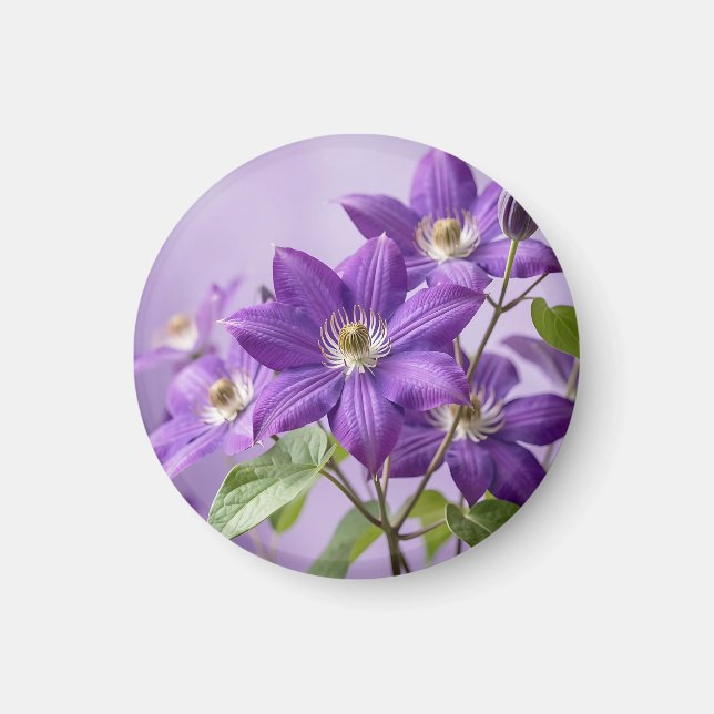 Íman Elegante Flor de Clematite Roxa em Flor (Frente)