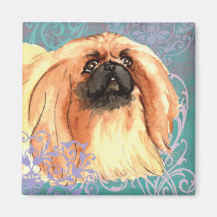 Íman Elegante Pekingese
