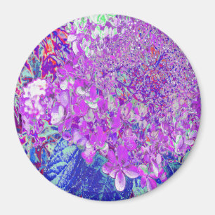 Íman Elegante Roxo e Blue Limelight Hydrangea