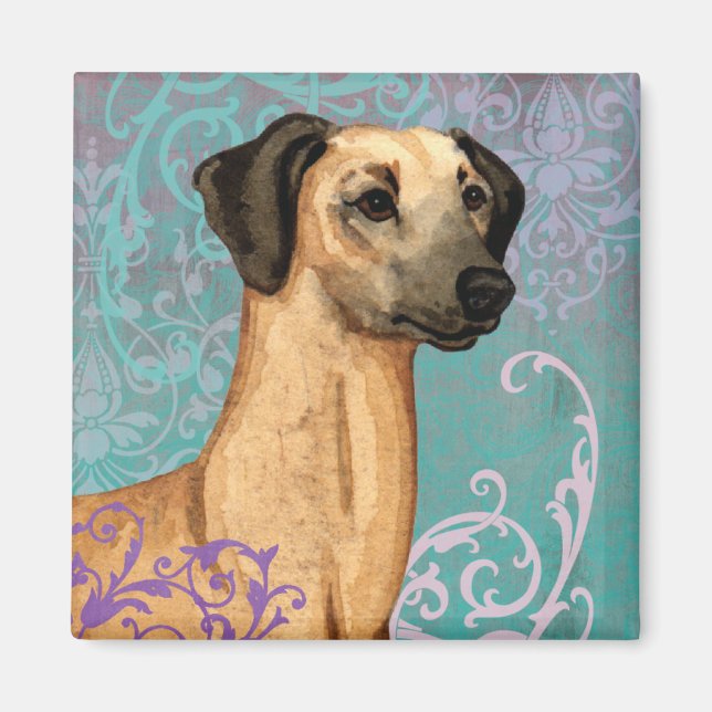 Íman Elegante Sloughi (Frente)