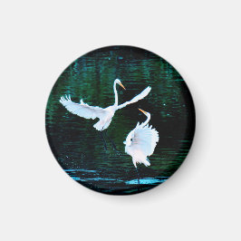 Íman Elegantes Em Dança