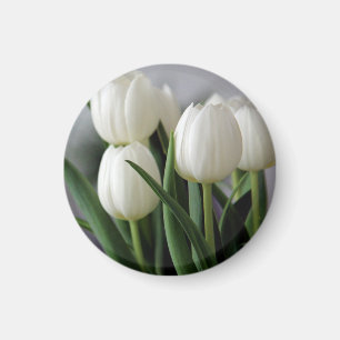 Íman Elegantes Flores Florais de Tulipa e Rosa Fotograf