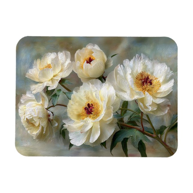 Íman Elegantes Peônias Brancas em Flor Flexível (Horizontal)