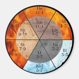 Íman Elemento de órgão Meridian Personalizável