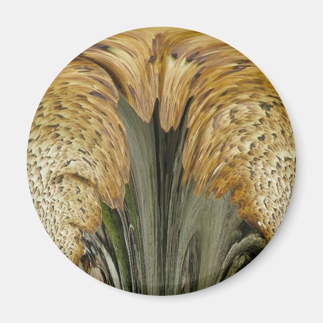 Íman Elementos de Coordenação de Fungos de Prateleira c (Frente)