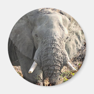 Íman Elephant Pop Art