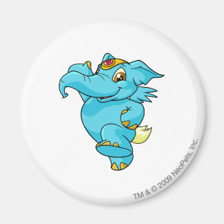 Íman Elephante Blue