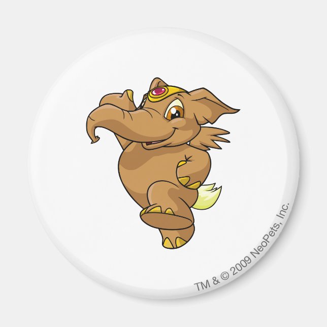 Íman Elephante Brown (Frente)