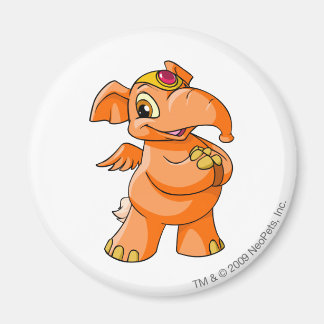 Íman Elephante Orange