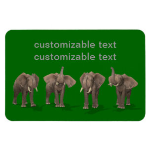 Íman Elephants Quartet