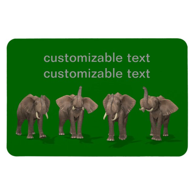 Íman Elephants Quartet (Horizontal)