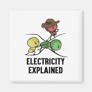 Íman Eletricidade Explicada Presente de Físico Nerd I P