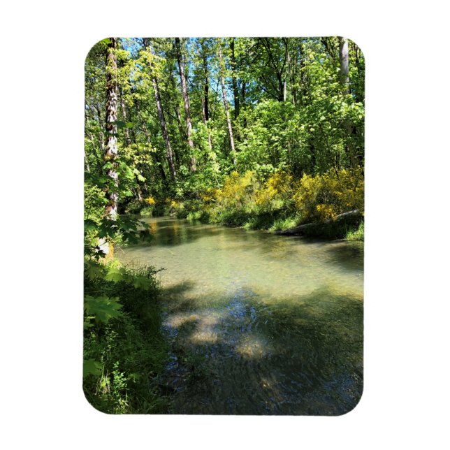 Íman Elijah Bristow State Park, Dexter, Oregon (Vertical)