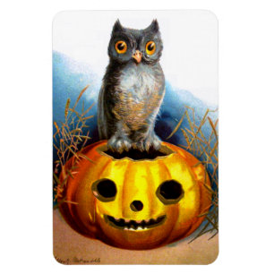 Íman Ellen H. Palheta: Halloween Owl