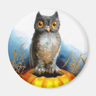 Íman Ellen H. Palheta: Halloween Owl