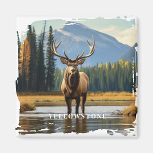 Íman Ellowstone Elk